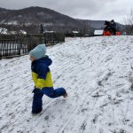phoca_thumb_m_krteci na snhu 35 Fotogalerie